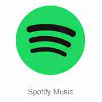 Spotify Premium icon