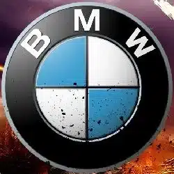 55BMW icon