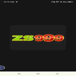 ZS999 Game icon