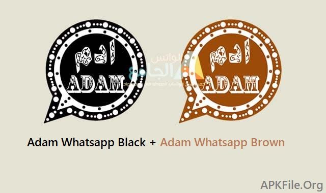 Adam WhatsApp