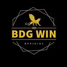 BDG Win icon