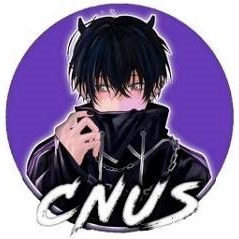 CNUS Tech icon