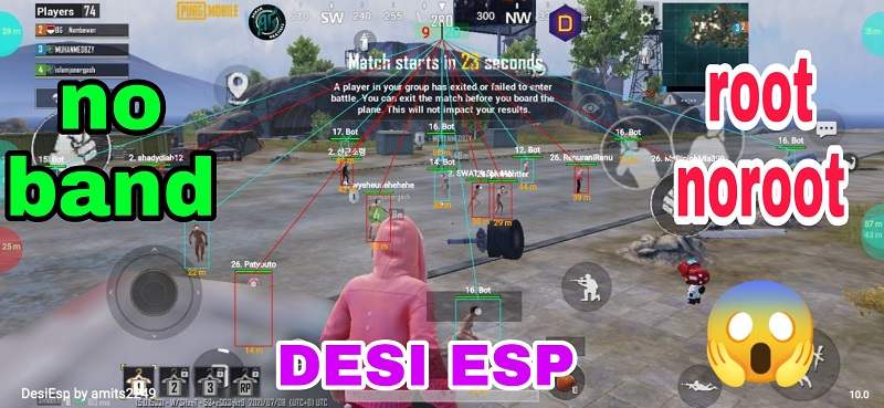 Desi ESP