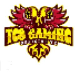 GG TCS Modz icon