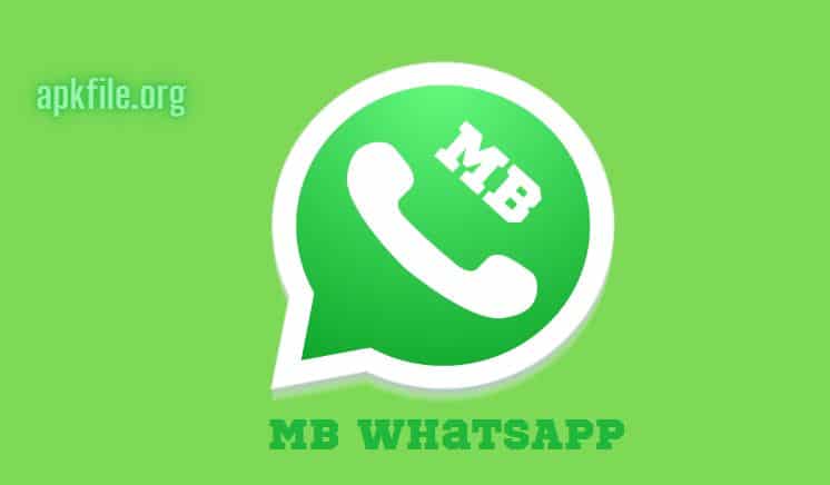 MB WhatsApp