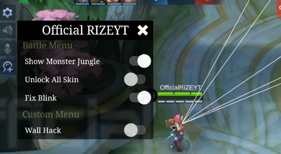 Official Rizeyt