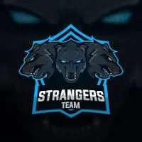 Stranger Team