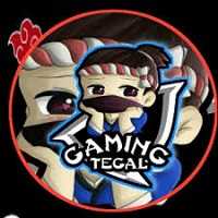 Gaming Tegal Injector icon