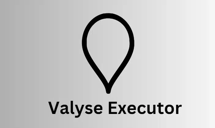 Valyse Executor