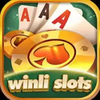 Winli Slots Game